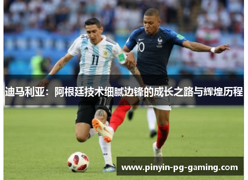 迪马利亚：阿根廷技术细腻边锋的成长之路与辉煌历程