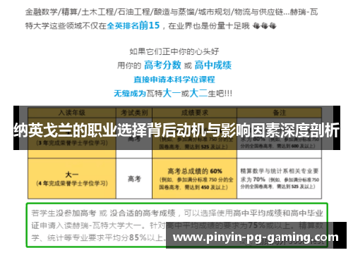 纳英戈兰的职业选择背后动机与影响因素深度剖析