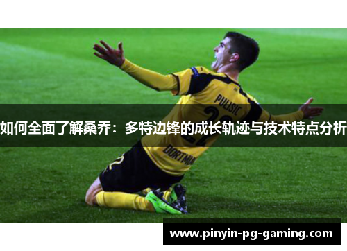 如何全面了解桑乔：多特边锋的成长轨迹与技术特点分析