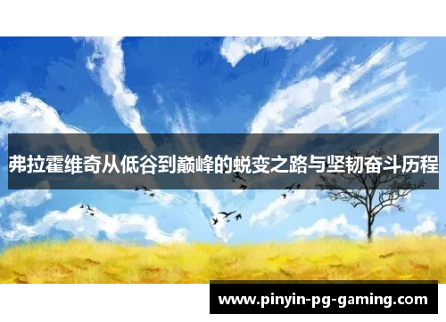 弗拉霍维奇从低谷到巅峰的蜕变之路与坚韧奋斗历程