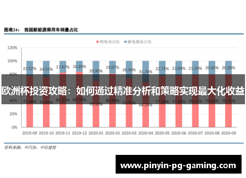 欧洲杯投资攻略：如何通过精准分析和策略实现最大化收益