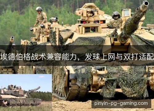 埃德伯格战术兼容能力，发球上网与双打适配