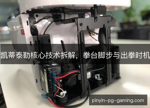 凯蒂泰勒核心技术拆解,拳台脚步与出拳时机 凯蒂泰勒核心技术拆解,拳台脚步与出拳时机